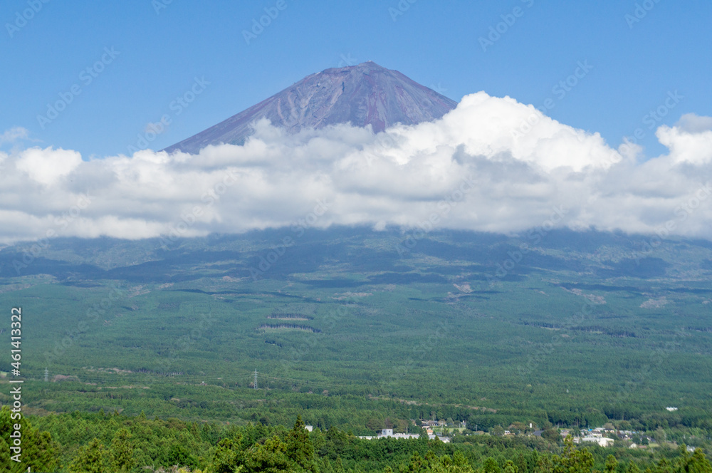 Fototapeta premium 静岡県富士宮市白糸自然公園からの富士山