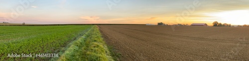 Panorama eines Sonnenuntergangs am Feld / Acker.