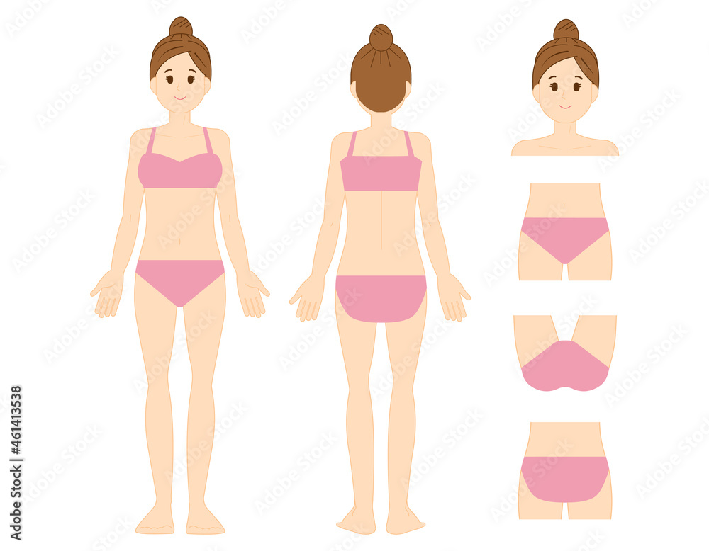 ボディパーツ　VIO　脱毛箇所　ベクターイラスト　女性