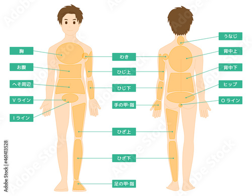 男性の全身イラスト　 美容　 ベクターイラスト