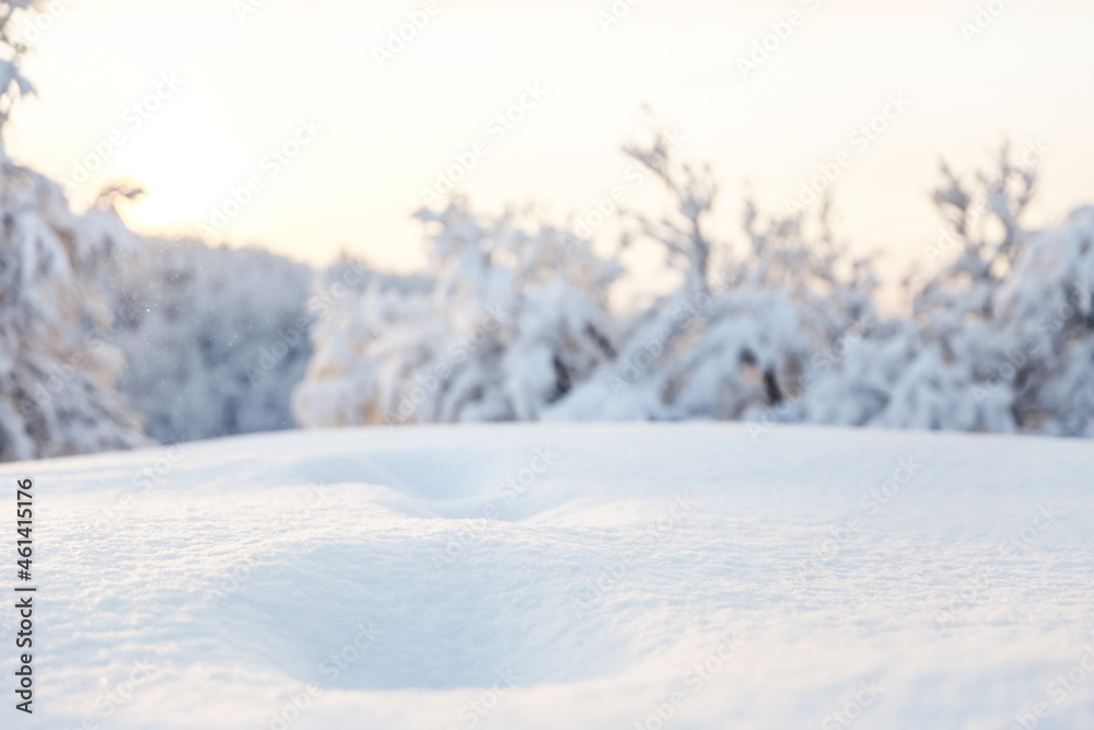 snow close up on the background of trees on a sunny winter day snow close up on the background of trees on a sunny winter day