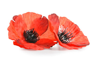 Remembrance Day in Canada. Red poppy flowers on white background