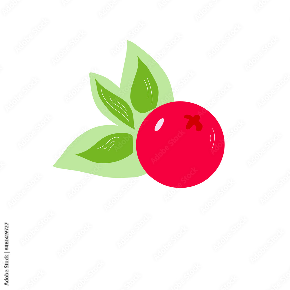 vector cranberry berries in flat and cartoon style illustration on white background, simple berry illustration vector cranberry berries in flat and cartoon style illustration on white background, simple berry illustration