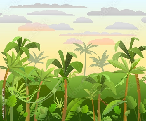 Jungle background. Plants rainforest. Beautiful green landscape with exotic trees and palms. Morning or evening sky. Cute cartoon style. Vector.