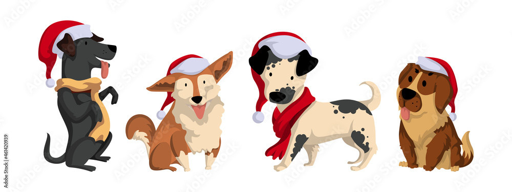 Set of Dogs Wear Santa Hats Set of Dogs Wear Santa Hats