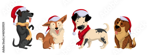 Set of Dogs Wear Santa Hats