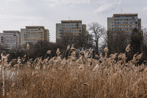 Apartment buildings on the shore of Czerniakowskie Lake in Mokotow district of Warsaw, capital of Poland photo