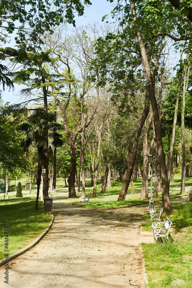 The paths of Gulhane Park in Istanbul in spring. Fatih district. High quality photo