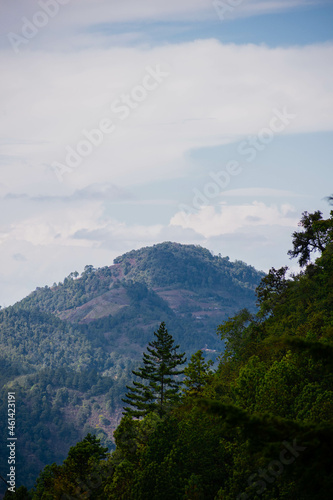 Wallpaper Mural the mountain behind Torontodigital.ca