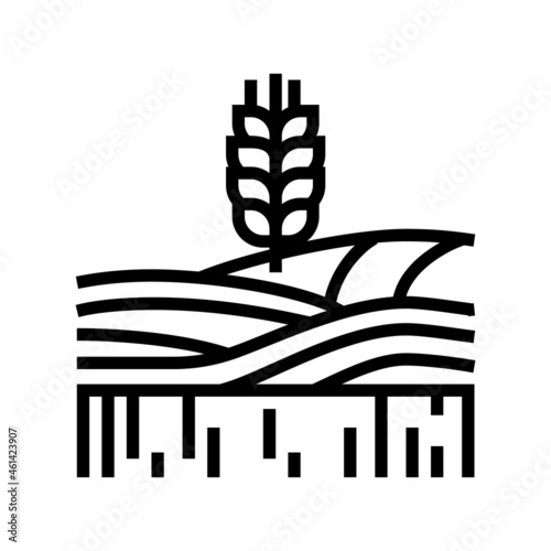 wheat growth field line icon vector. wheat growth field sign. isolated contour symbol black illustration