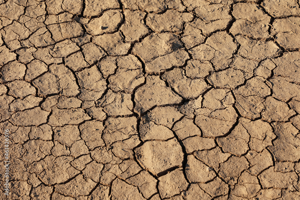 Cracks of the dried soil in arid season Cracks of the dried soil in arid season