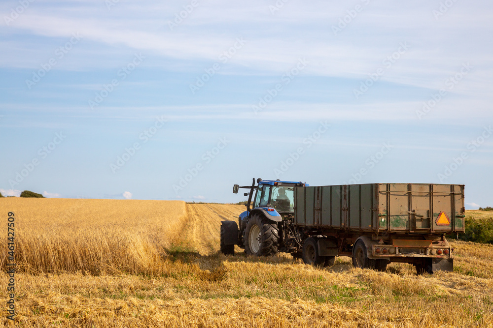 Fototapeta premium Traktor mit Anhänger bei der Ernste in einem Getreidefeld