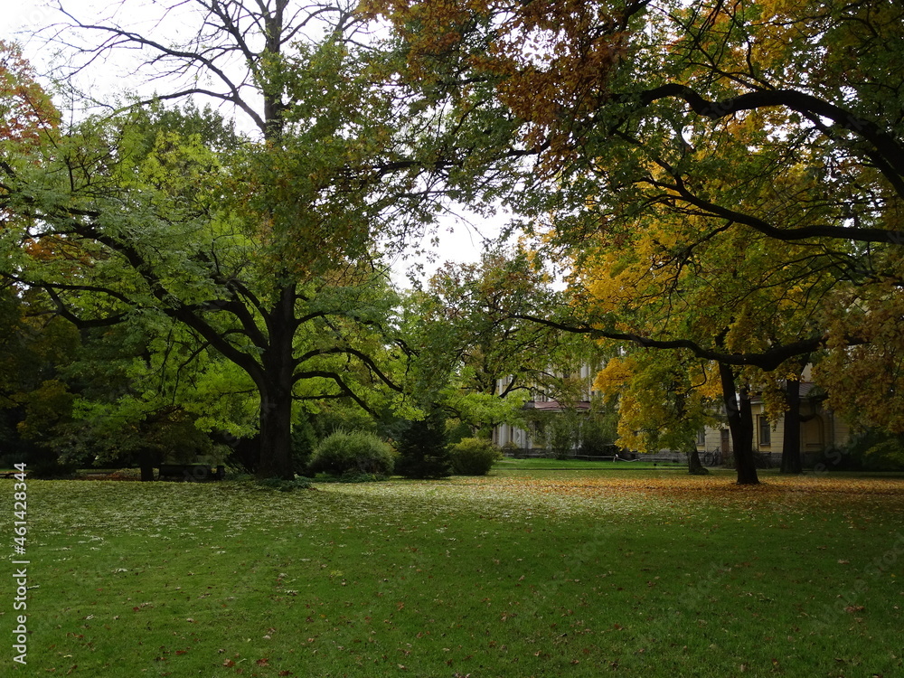 Autumn forest or park in good weather Autumn forest or park in good weather