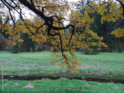 Fragment otkrytoy derevyannoy terrasy i osenniye list'ya terrasa, derevyannyy, osen',
84 / 5000
Результаты перевода
Fragment of an open wooden terrace and autumn leaves photo