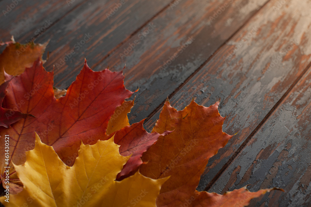 Obraz premium Autumn leaves on rustic wooden table banner. Maple leaf. Flat lay, top view, copy space. Autumn concept.