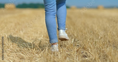 Wallpaper Mural Close-up, the legs of a girl in white sneakers walking through the hay in a field, mown wheat. Slender legs of a girl in jeans go to the field, yellow grass, rural landscape. Rear view. 4k, ProRes Torontodigital.ca