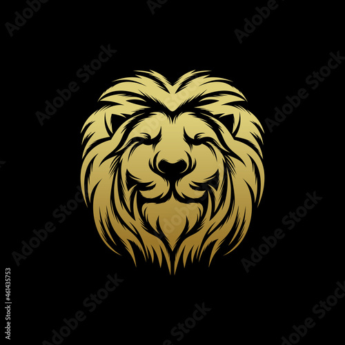 Fototapeta Naklejka Na Ścianę i Meble -  Lion  logo design vector template