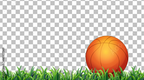 Basketball on the grass field on transparent background