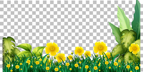 Nature plants frame transparent background