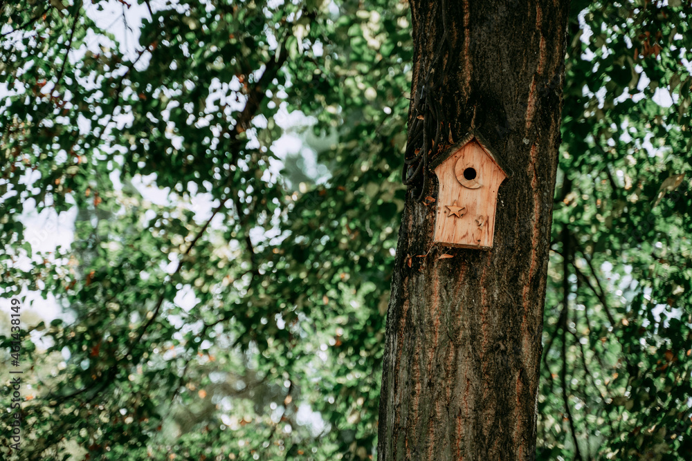 Bird house on a tree in summer