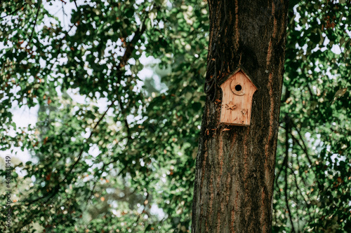Bird house on a tree in summer