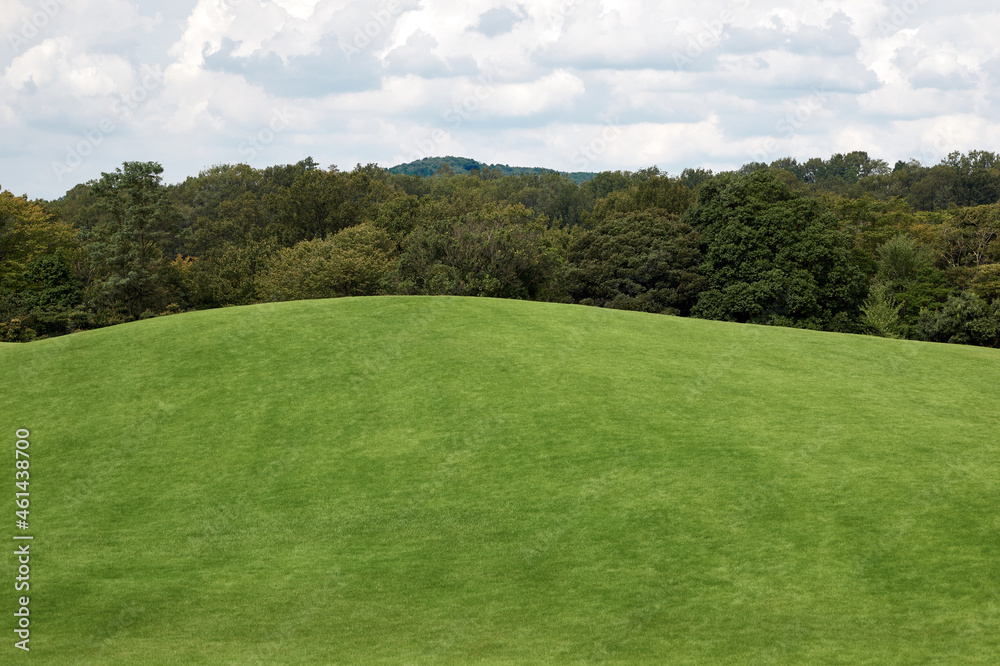 Fototapeta premium Grass on the hill. Course with forest and cloudy sky in the background.