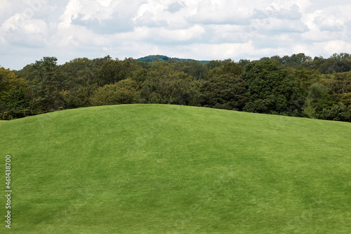 Grass on the hill. Course with forest and cloudy sky in the background.