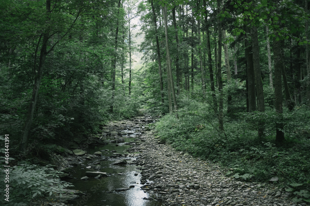 Obraz premium Exploring roads less ridden, little adventures around hometown