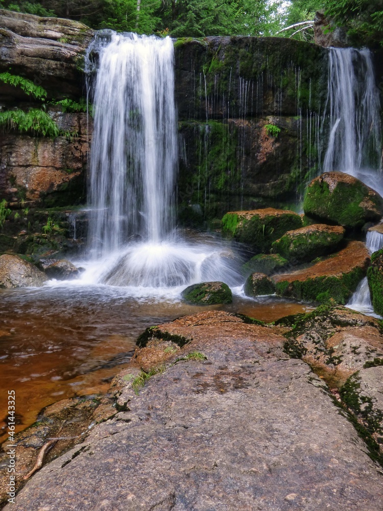 Fototapeta premium Waterfall in the forest