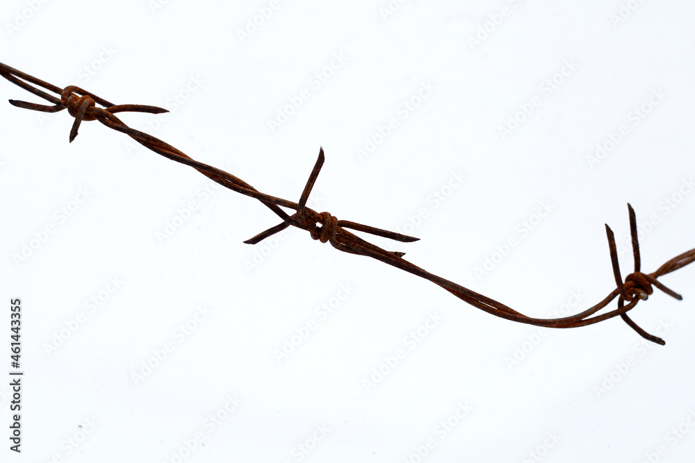 Fototapeta premium Rusty barb wire isolated on white background