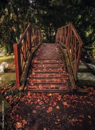 Wooden bridge in the park photo