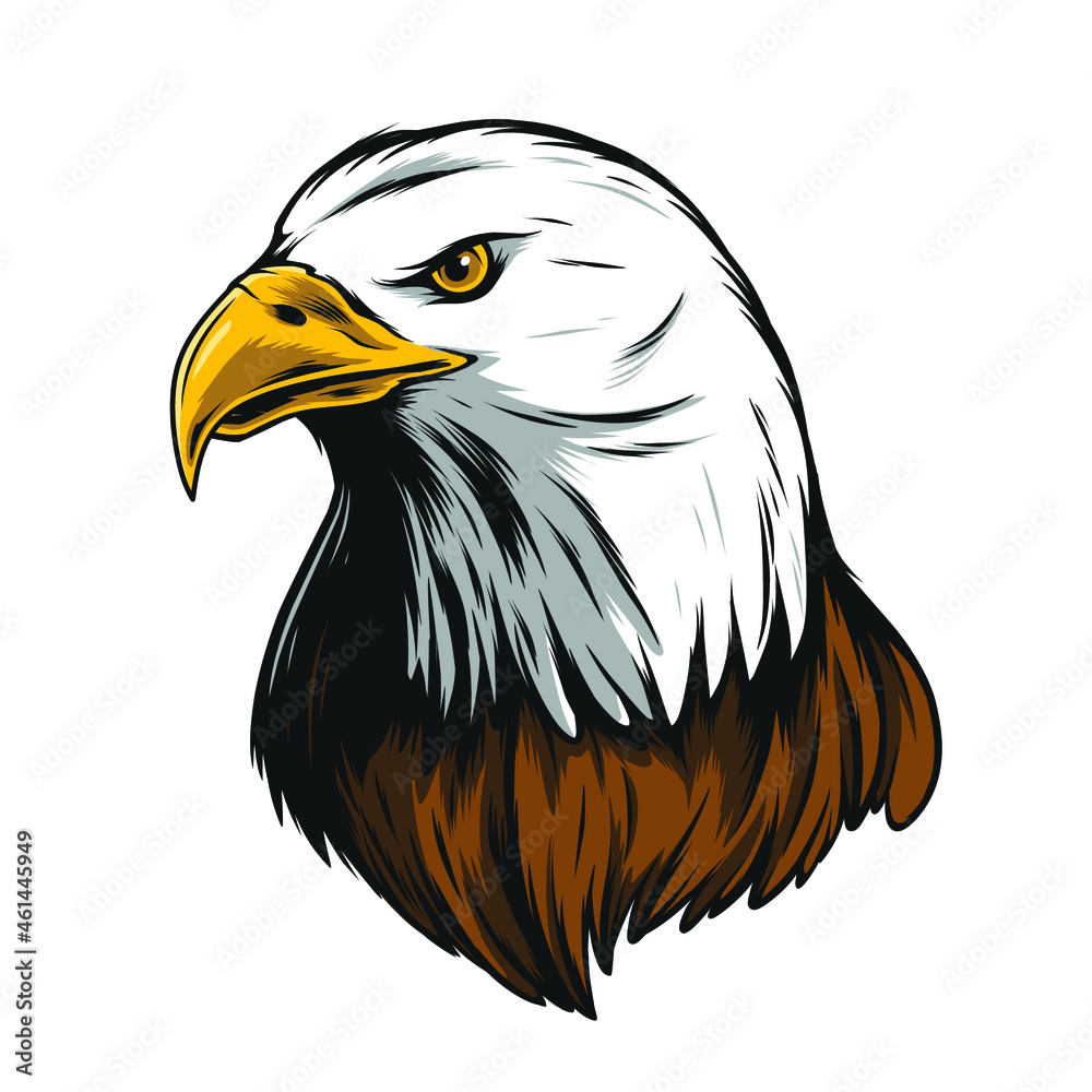 Obraz premium Eagle head illustration ,with black outline
