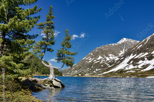 Obersee, Staller Sattel, Schneeschmelze, Schnee, See, Bergsee, Alpensee, Schneefeld, Pass, Gebirgspass, Wasser, Frühjahr, Frühling, Osttirol, Frühlingserwachen, Villgrater Berge, Rieserfernergruppe, D