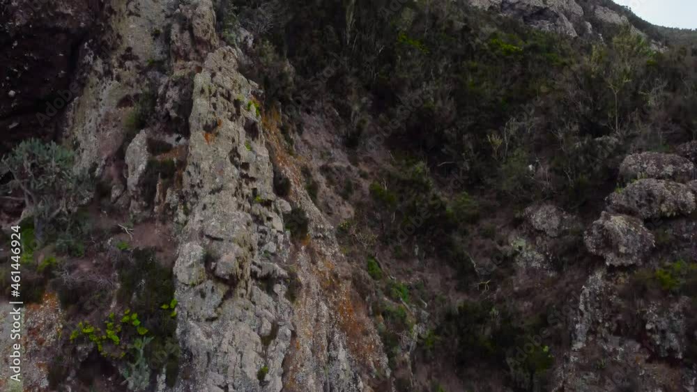 Rocky Hills With Mountain Goat On A Hike In The Anaga Mountains On Tenerife Island, Spain. Tilt-up Rocky Hills With Mountain Goat On A Hike In The Anaga Mountains On Tenerife Island, Spain. Tilt-up