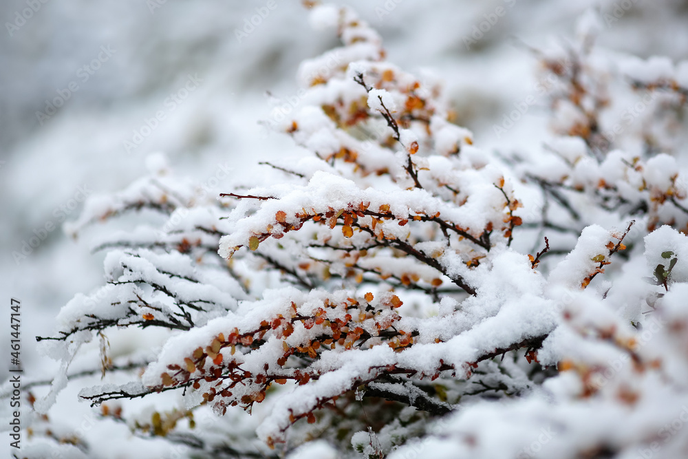 First snow