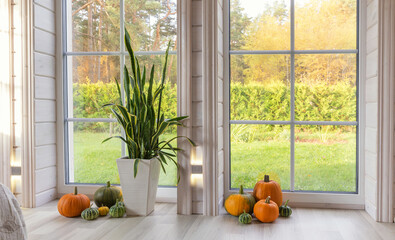 Bright photo studio interior with big window, high ceiling, white wooden floor