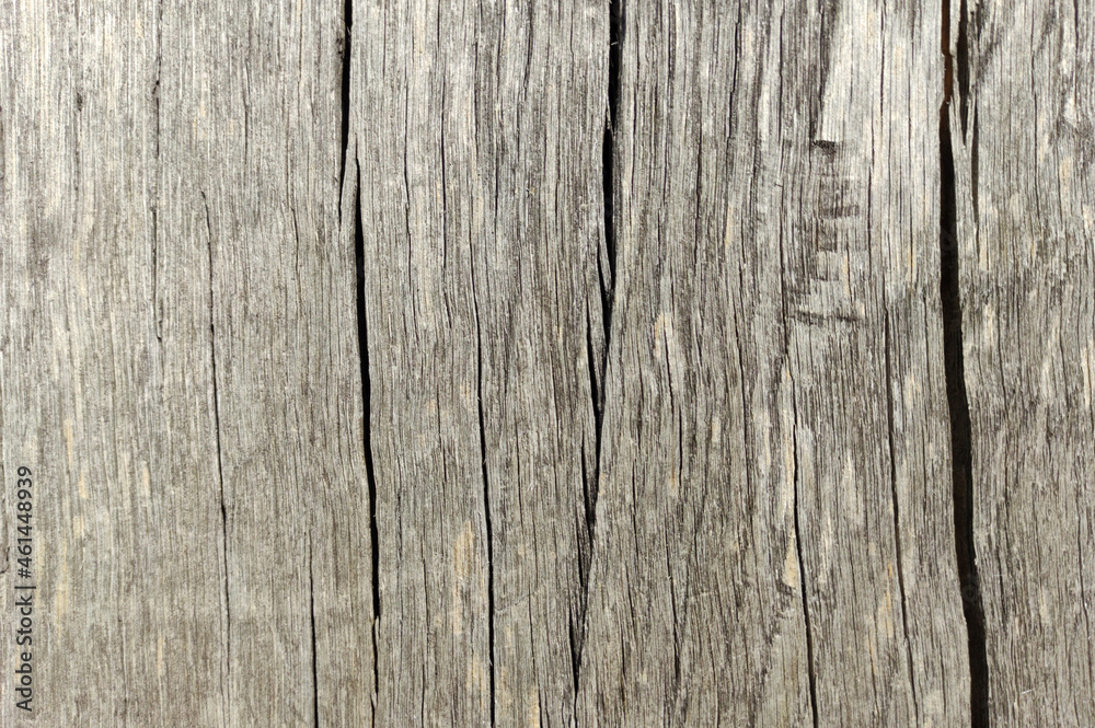 Dry wood texture surface for design. Wooden background for decoration. Tree pattern. Construction material. Old concept background. Dry wood texture surface for design. Wooden background for decoration. Tree pattern. Construction material. Old concept background.