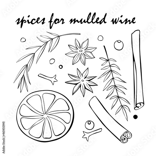 Set of vector Christmas winter outline spices in doodle style. Traditionally used in made desserts, hot mulled wine, homemade cookies. For templates menu, recipes, greeting cards