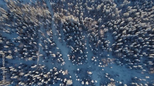Aerial view of a winter forest from a drone, a huge forest in the taiga or siberia, 4K landscape video