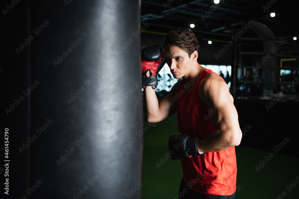 sportsman in boxing gloves training with punching bag in gym.