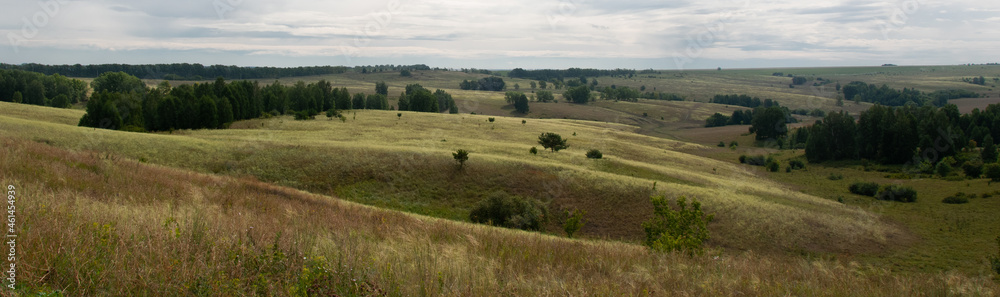 view of the field