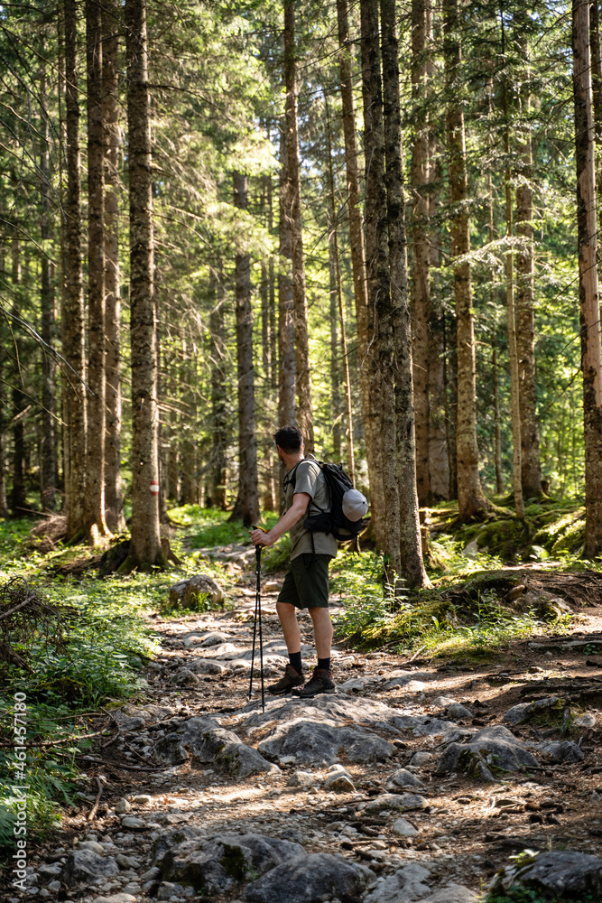Junger Mann macht Pause vom wandern durch den Wald in der Natur in Österreich