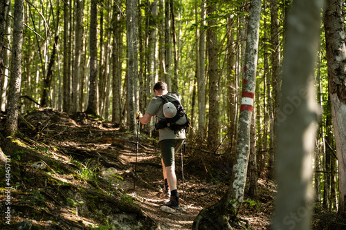 Junger Mann beim wandern auf Wanderweg durch den Wald in der Natur in Österreich