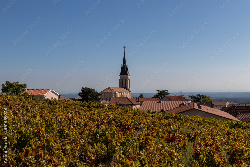 Fleurie surrounding wine region france