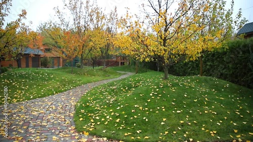 Scenery view of walk path between multicoloroed bright vibrant garden tree first fallen dry leaves on green grass lawn at home yard or city park in october. Autumnal scenic nature foliage backgound