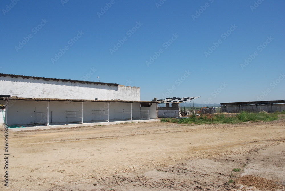 Obraz premium CORTIJO ANDALUZ