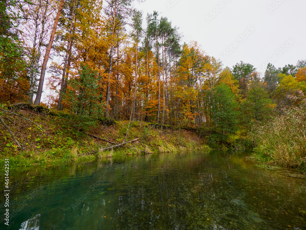 Autumn forest trees are reflected in the river. River in autumn forest. Forest river in autumn