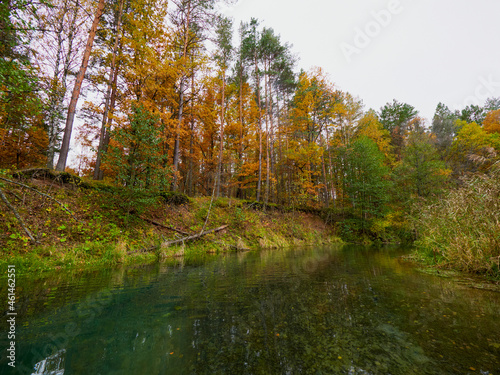 Autumn forest trees are reflected in the river. River in autumn forest. Forest river in autumn