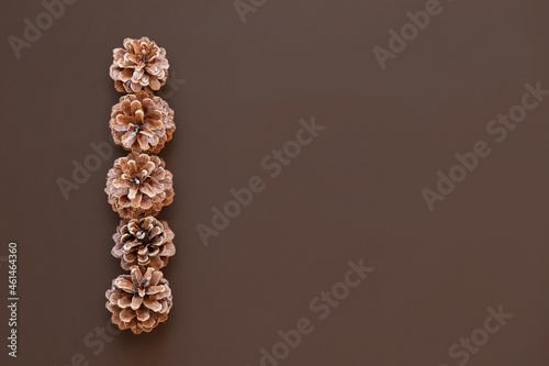 A simple composition of pine cones on a brown background. space for text. Greeting card, the concept of an invitation card