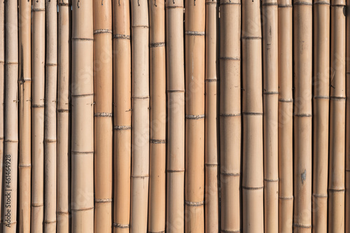 Fototapeta Naklejka Na Ścianę i Meble -  bamboo background from vertical elements. beige color